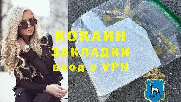 хмурый Нея