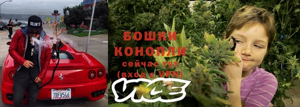 хмурый Нея