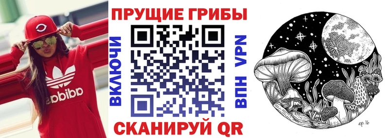 Галлюциногенные грибы ЛСД  как найти наркотики  Лихославль 
