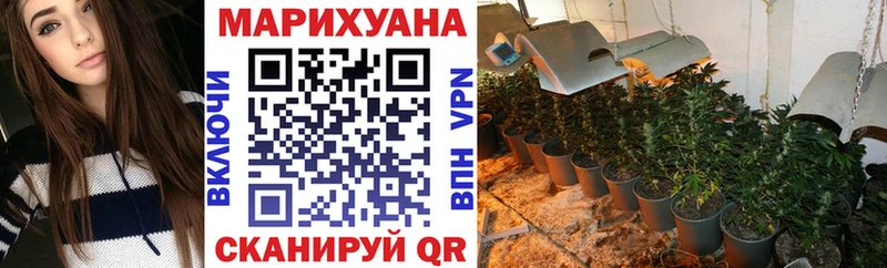 как найти   Лихославль  Бошки Шишки сатива 